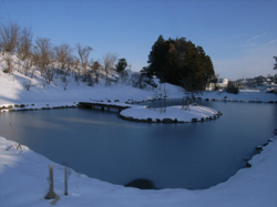 凛とした冬の溜池の風景です